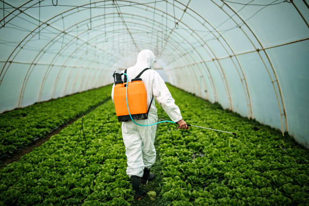 Reliable Selah, WA Pest Control Solutions
