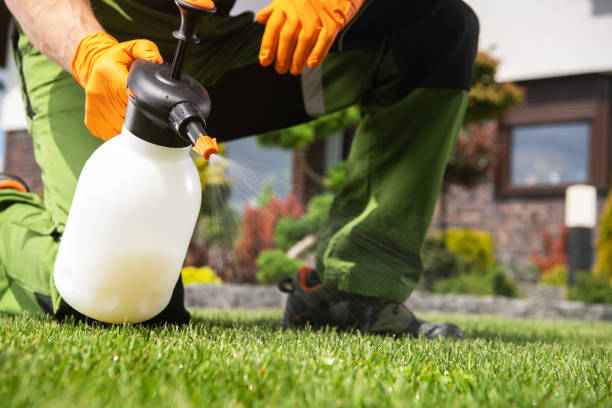 Best Mosquito Control Services  in Selah, WA
