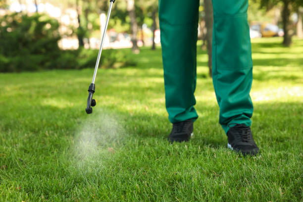 Best Wasp Removal Services  in Selah, WA