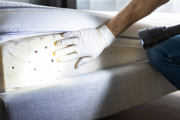 Pest Control for Restaurants in Selah, WA
