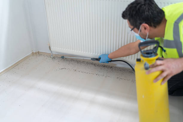 Best Local Pest Control Services  in Selah, WA